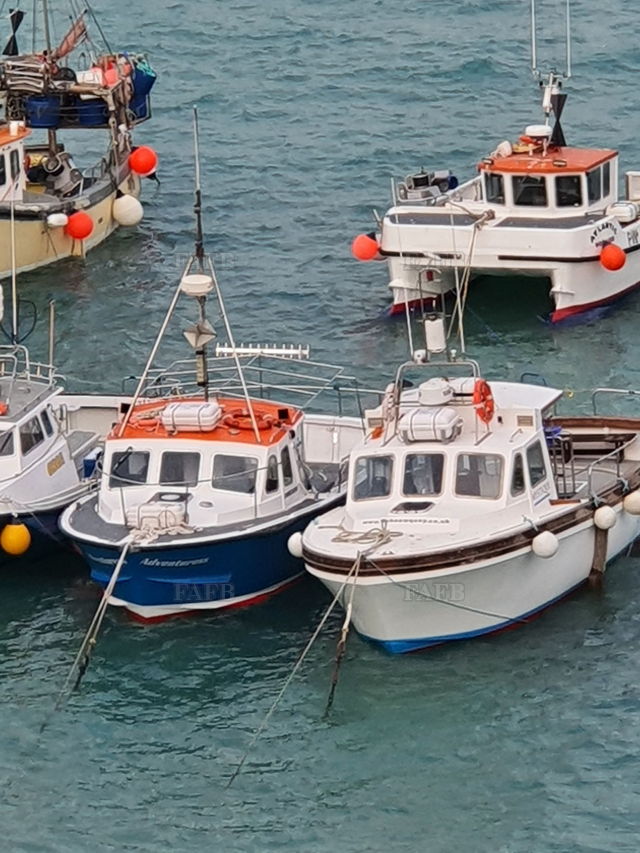 Large picture for advert 138187