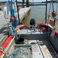 Thumbnail for picture 5