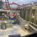 Thumbnail for picture 5
