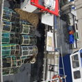 Extra picture for advert 149019
