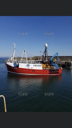 Millers - Bright Ray - ID:123192