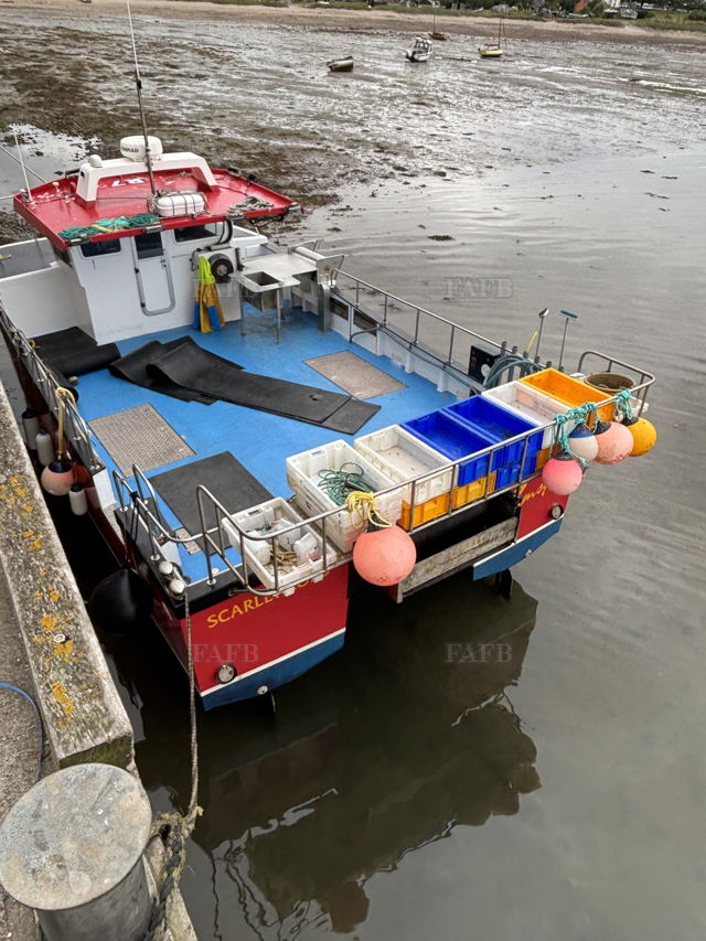 Large picture for advert 118198