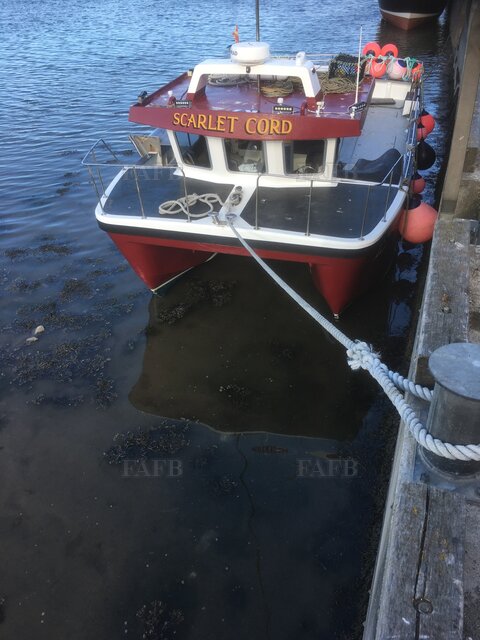 Large picture for advert 118198