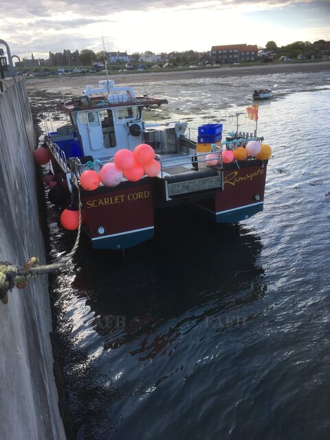 Large picture for advert 118198