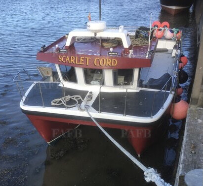 Large picture for advert 118198