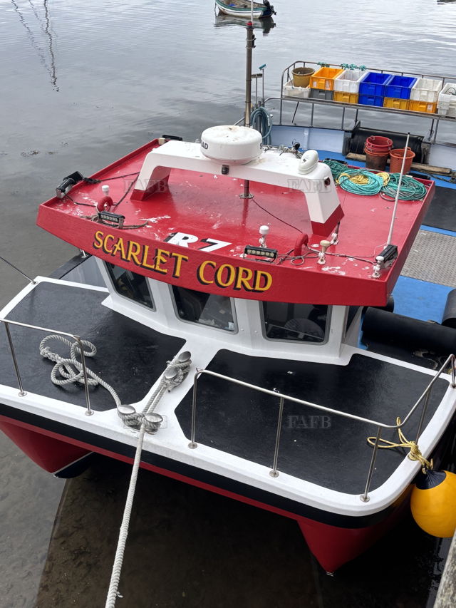 Large picture for advert 118198