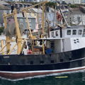 Extra picture for advert 148198