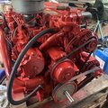 Beta 75 marine engine + ZF v drive gearbox - picture 4