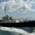 Extra picture for advert 145002