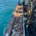 Extra picture for advert 149002
