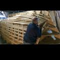 Extra picture for advert 138020