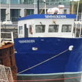 Extra picture for advert 146200