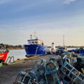 Extra picture for advert 146200