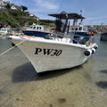 Thumbnail for picture 9