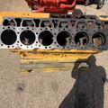 Extra picture for advert 147203
