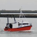 Napier 36 - picture 6