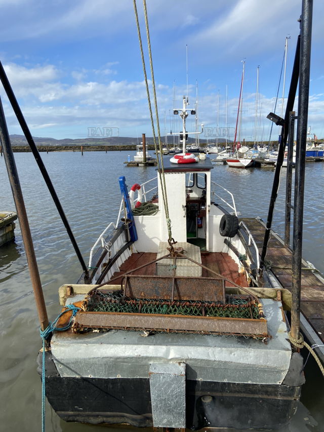 Large picture for advert 143205