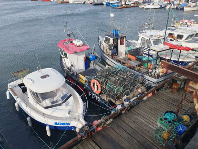 Large picture for advert 143207