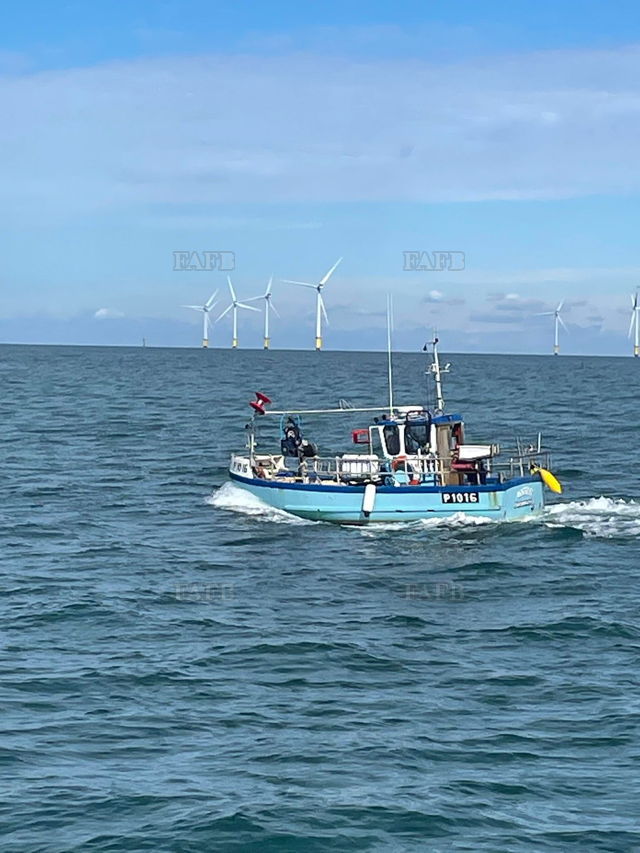 Large picture for advert 146208