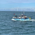 Extra picture for advert 146208