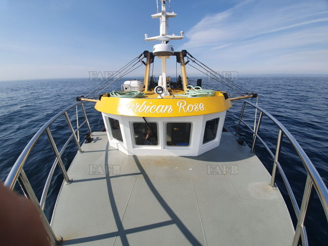 Large picture for advert 142021