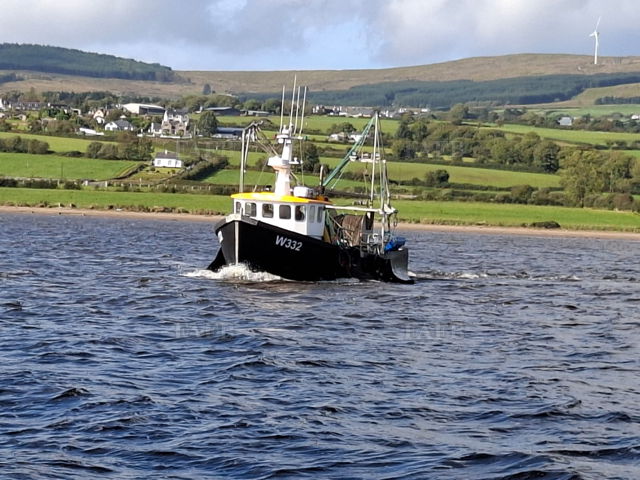 Large picture for advert 149021
