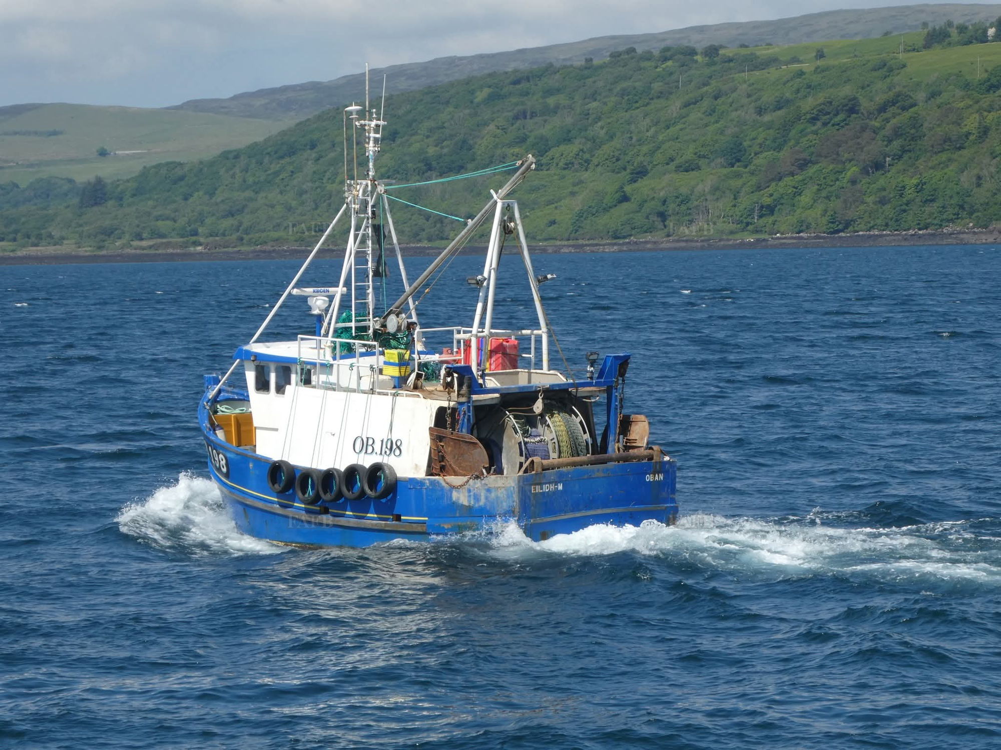 Large picture for advert 142213
