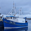 Extra picture for advert 142213
