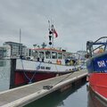 Delta launch / tug - picture 9