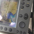 Thumbnail for picture 4