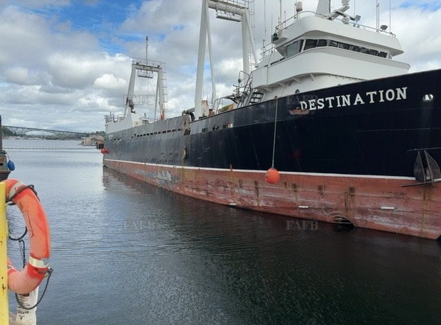 Halter Marine Services
