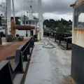 Thumbnail for picture 9