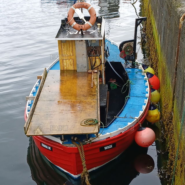 Large picture for advert 137218