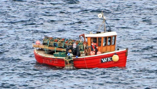 Large picture for advert 137218