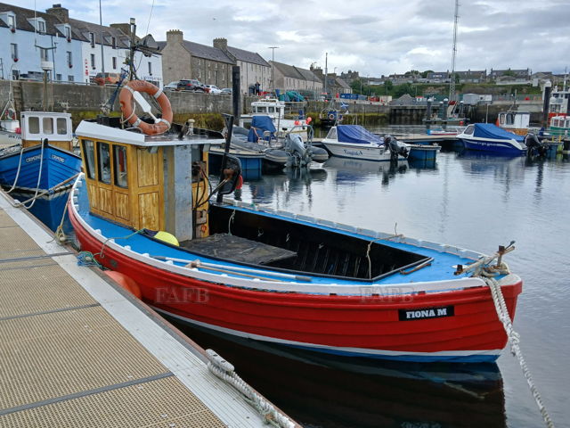 Large picture for advert 137218