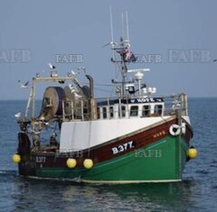 Tom's twin rigger - HOPE  - ID:130218