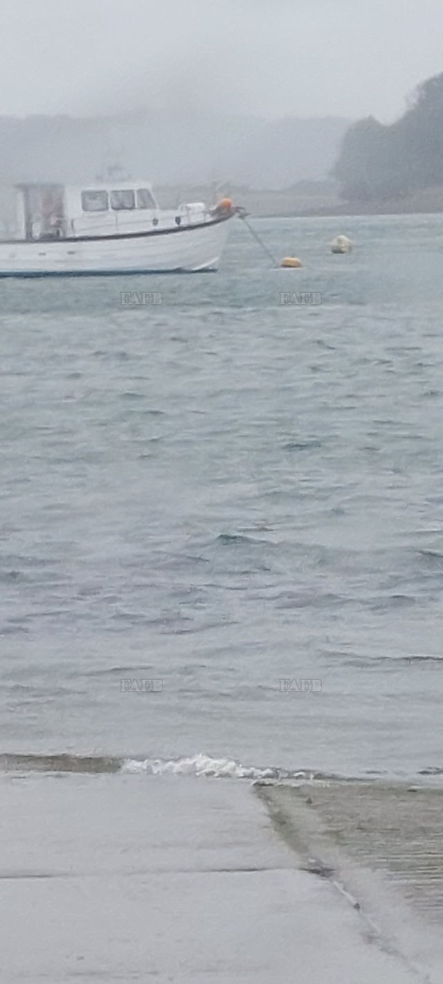 Large picture for advert 142227