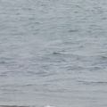 Thumbnail for picture 14