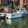 Extra picture for advert 146227