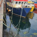 Extra picture for advert 148227