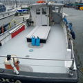 Extra picture for advert 146229