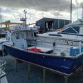 Extra picture for advert 146229