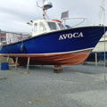 Extra picture for advert 146229