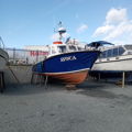 Extra picture for advert 146229