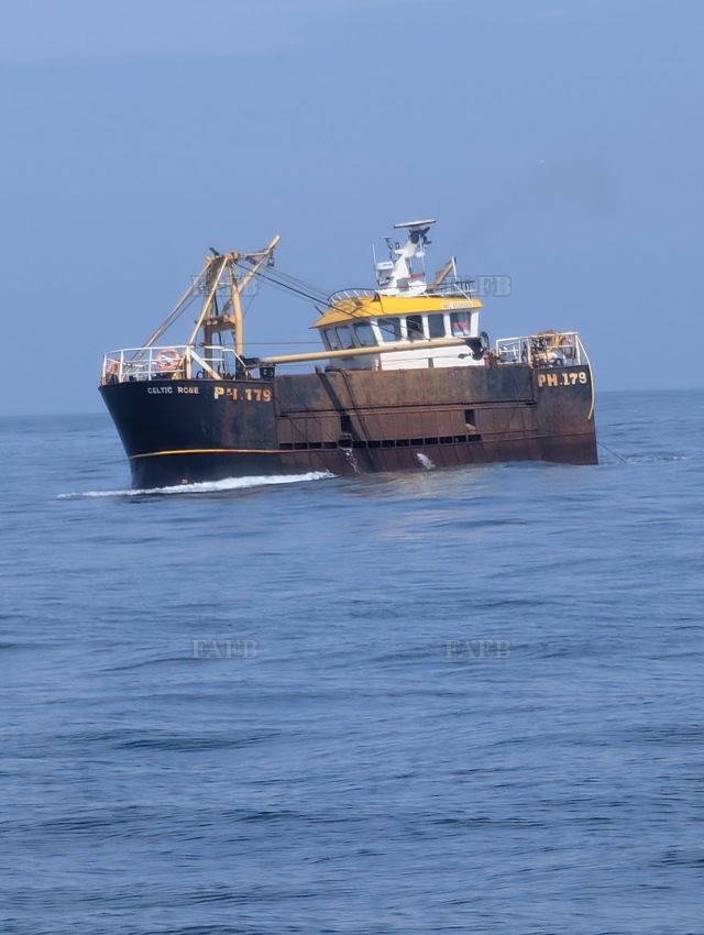 Large picture for advert 147230
