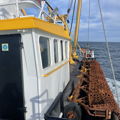 Extra picture for advert 147230