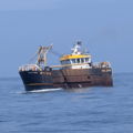 Extra picture for advert 147230