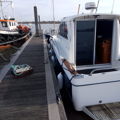 Extra picture for advert 148232
