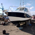 Extra picture for advert 148232