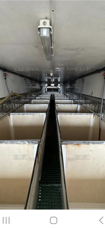 Vivier trailer and tractor unit